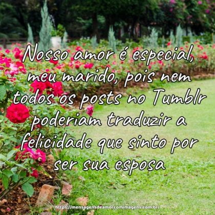 Nosso amor é especial, meu marido, pois nem todos os posts no Tumblr poderiam traduzir a felicidade que sinto por ser sua esposa.