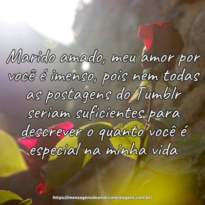 Marido amado, meu amor por você é imenso, pois nem todas as postagens do Tumblr seriam suficientes para descrever o quanto você é especial na minha vida.