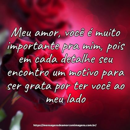 Meu amor, você é muito importante pra mim, pois em cada detalhe seu encontro um motivo para ser grata por ter você ao meu lado.