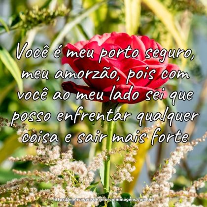 Você é meu porto seguro, meu amorzão, pois com você ao meu lado sei que posso enfrentar qualquer coisa e sair mais forte.