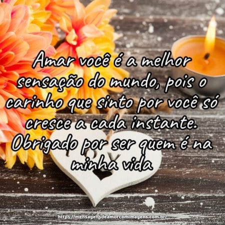 Amar você é a melhor sensação do mundo, pois o carinho que sinto por você só cresce a cada instante. Obrigado por ser quem é na minha vida.