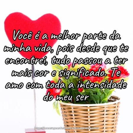 Você é a melhor parte da minha vida, pois desde que te encontrei, tudo passou a ter mais cor e significado. Te amo com toda a intensidade do meu ser.
