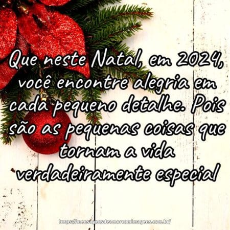 Que neste Natal, em 2024, você encontre alegria em cada pequeno detalhe. Pois são as pequenas coisas que tornam a vida verdadeiramente especial.