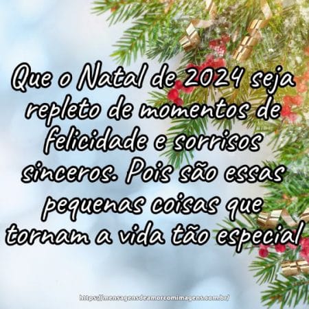 Que o Natal de 2024 seja repleto de momentos de felicidade e sorrisos sinceros. Pois são essas pequenas coisas que tornam a vida tão especial.