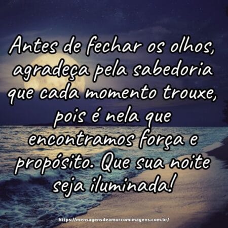 Antes de fechar os olhos, agradeça pela sabedoria que cada momento trouxe, pois é nela que encontramos força e propósito. Que sua noite seja iluminada!