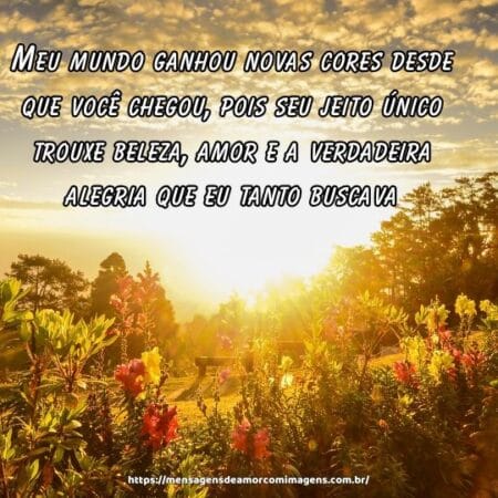 Meu mundo ganhou novas cores desde que você chegou, pois seu jeito único trouxe beleza, amor e a verdadeira alegria que eu tanto buscava.