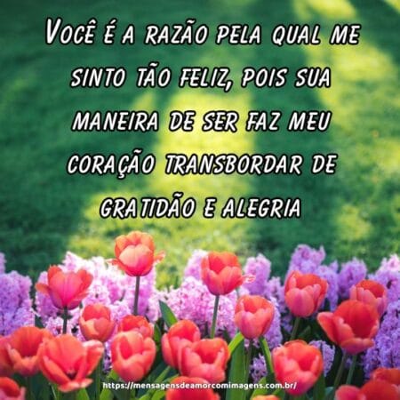 Você é a razão pela qual me sinto tão feliz, pois sua maneira de ser faz meu coração transbordar de gratidão e alegria.
