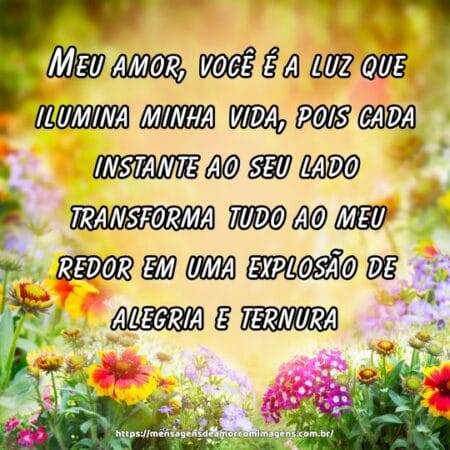 Meu amor, você é a luz que ilumina minha vida, pois cada instante ao seu lado transforma tudo ao meu redor em uma explosão de alegria e ternura.