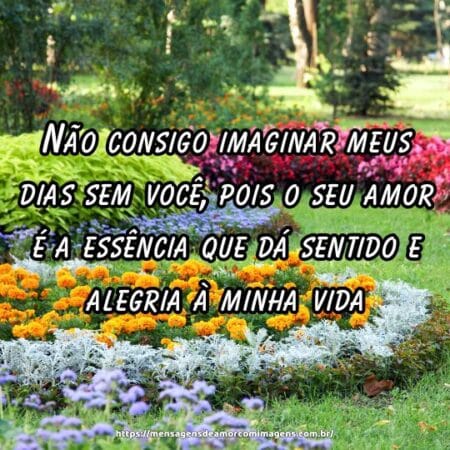 Não consigo imaginar meus dias sem você, pois o seu amor é a essência que dá sentido e alegria à minha vida.