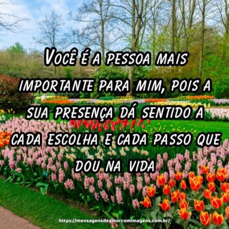 Você é a pessoa mais importante para mim, pois a sua presença dá sentido a cada escolha e cada passo que dou na vida.
