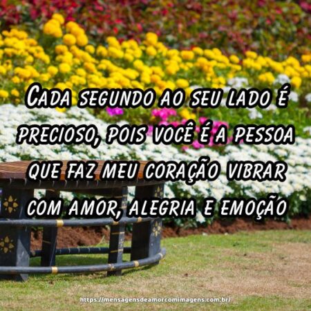 Cada segundo ao seu lado é precioso, pois você é a pessoa que faz meu coração vibrar com amor, alegria e emoção.