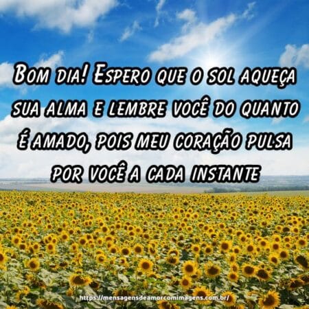 Bom dia! Espero que o sol aqueça sua alma e lembre você do quanto é amado, pois meu coração pulsa por você a cada instante.
