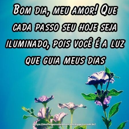 Bom dia, meu amor! Que cada passo seu hoje seja iluminado, pois você é a luz que guia meus dias.