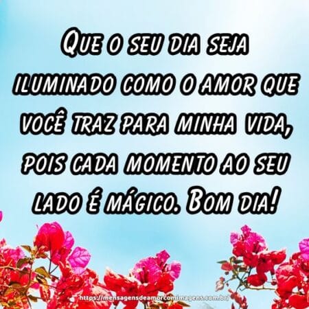 Que o seu dia seja iluminado como o amor que você traz para minha vida, pois cada momento ao seu lado é mágico. Bom dia!