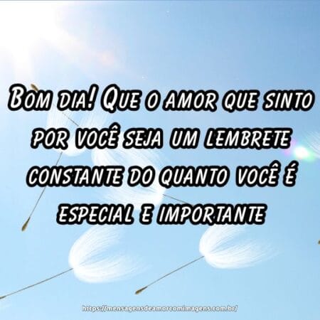 Bom dia! Que o amor que sinto por você seja um lembrete constante do quanto você é especial e importante.