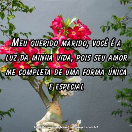 Meu querido marido, você é a luz da minha vida, pois seu amor me completa de uma forma única e especial.
