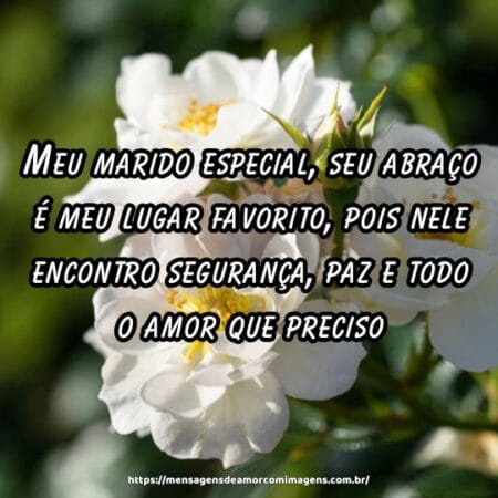 Meu marido especial, seu abraço é meu lugar favorito, pois nele encontro segurança, paz e todo o amor que preciso.