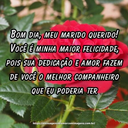 Bom dia, meu marido querido! Você é minha maior felicidade, pois sua dedicação e amor fazem de você o melhor companheiro que eu poderia ter.