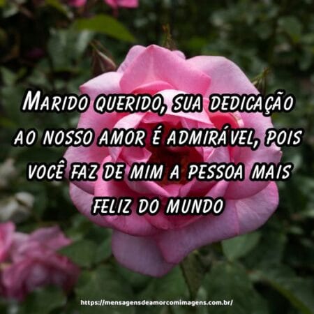 Marido querido, sua dedicação ao nosso amor é admirável, pois você faz de mim a pessoa mais feliz do mundo.