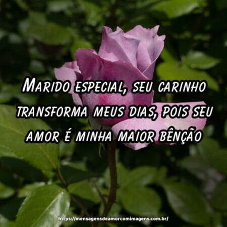 Marido especial, seu carinho transforma meus dias, pois seu amor é minha maior bênção.