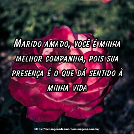 Marido amado, você é minha melhor companhia, pois sua presença é o que dá sentido à minha vida.