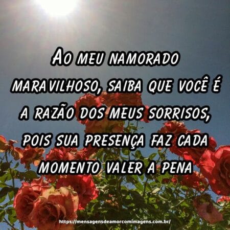 Ao meu namorado maravilhoso, saiba que você é a razão dos meus sorrisos, pois sua presença faz cada momento valer a pena.