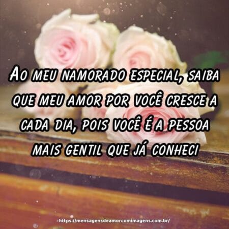 Ao meu namorado especial, saiba que meu amor por você cresce a cada dia, pois você é a pessoa mais gentil que já conheci.