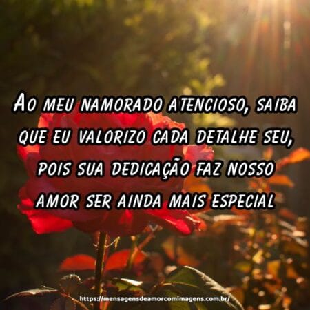 Ao meu namorado atencioso, saiba que eu valorizo cada detalhe seu, pois sua dedicação faz nosso amor ser ainda mais especial.