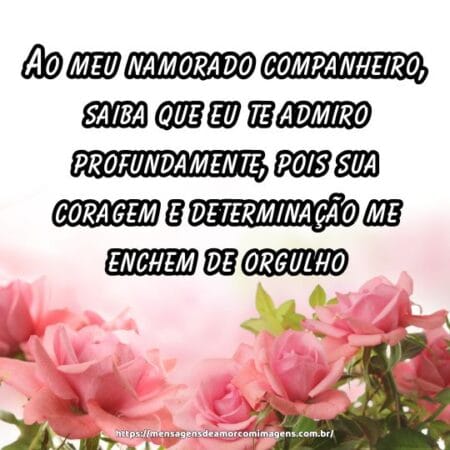 Ao meu namorado companheiro, saiba que eu te admiro profundamente, pois sua coragem e determinação me enchem de orgulho.