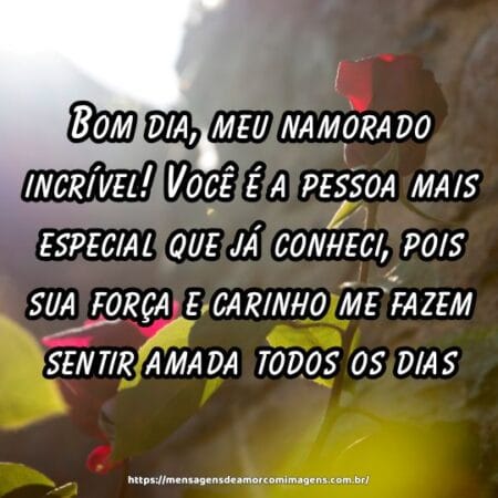 Bom dia, meu namorado incrível! Você é a pessoa mais especial que já conheci, pois sua força e carinho me fazem sentir amada todos os dias.