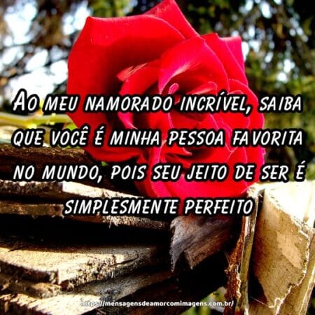 Ao meu namorado incrível, saiba que você é minha pessoa favorita no mundo, pois seu jeito de ser é simplesmente perfeito.
