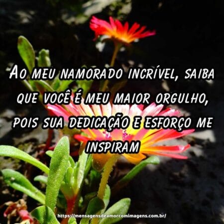 Ao meu namorado incrível, saiba que você é meu maior orgulho, pois sua dedicação e esforço me inspiram.