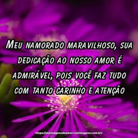 Meu namorado maravilhoso, sua dedicação ao nosso amor é admirável, pois você faz tudo com tanto carinho e atenção.