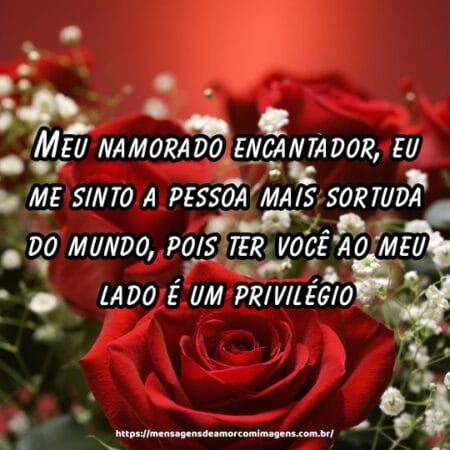 Meu namorado encantador, eu me sinto a pessoa mais sortuda do mundo, pois ter você ao meu lado é um privilégio.