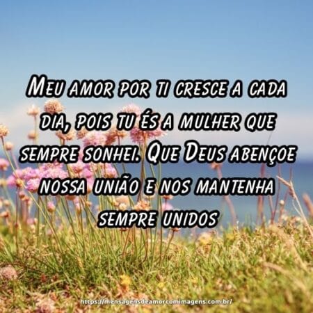 Meu amor por ti cresce a cada dia, pois tu és a mulher que sempre sonhei. Que Deus abençoe nossa união e nos mantenha sempre unidos.