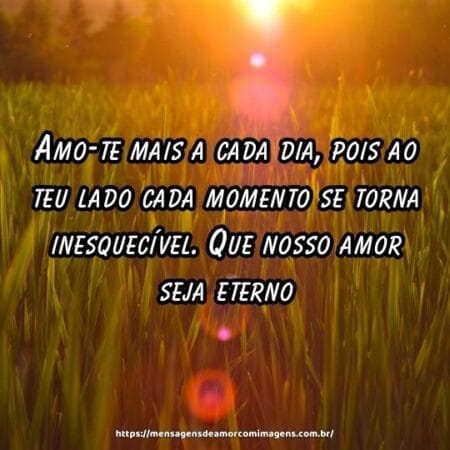 Amo-te mais a cada dia, pois ao teu lado cada momento se torna inesquecível. Que nosso amor seja eterno.