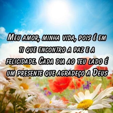Meu amor, minha vida, pois é em ti que encontro a paz e a felicidade. Cada dia ao teu lado é um presente que agradeço a Deus.