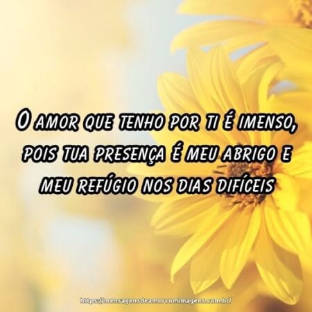 O amor que tenho por ti é imenso, pois tua presença é meu abrigo e meu refúgio nos dias difíceis.