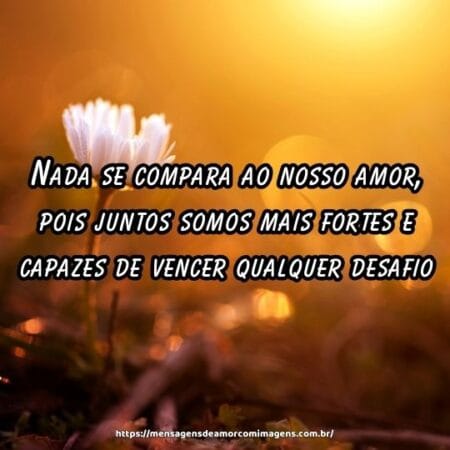 Nada se compara ao nosso amor, pois juntos somos mais fortes e capazes de vencer qualquer desafio.