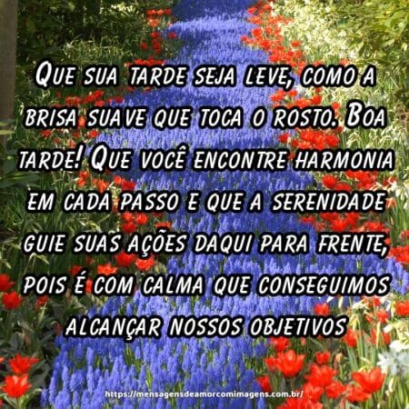 Que sua tarde seja leve, como a brisa suave que toca o rosto. Boa tarde! Que você encontre harmonia em cada passo e que a serenidade guie suas ações daqui para frente, pois é com calma que conseguimos alcançar nossos objetivos.