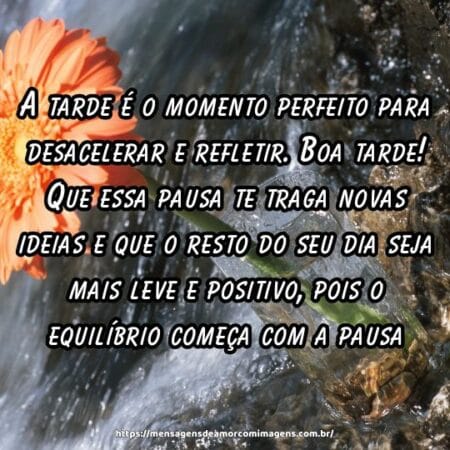 A tarde é o momento perfeito para desacelerar e refletir. Boa tarde! Que essa pausa te traga novas ideias e que o resto do seu dia seja mais leve e positivo, pois o equilíbrio começa com a pausa.