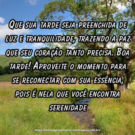 Que sua tarde seja preenchida de luz e tranquilidade, trazendo a paz que seu coração tanto precisa. Boa tarde! Aproveite o momento para se reconectar com sua essência, pois é nela que você encontra serenidade.