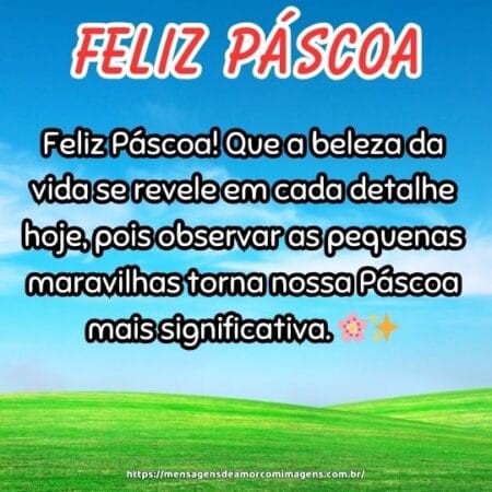 Feliz Páscoa! Que a beleza da vida se revele em cada detalhe hoje, pois observar as pequenas maravilhas torna nossa Páscoa mais significativa. 🌸✨