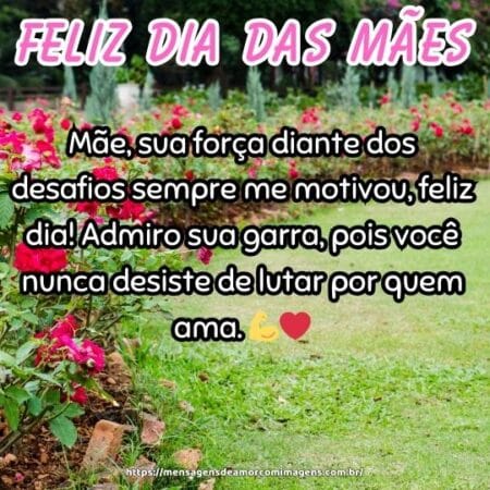 Mãe, sua força diante dos desafios sempre me motivou, feliz dia! Admiro sua garra, pois você nunca desiste de lutar por quem ama. 💪❤️