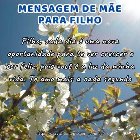 Filho, cada dia é uma nova oportunidade para te ver crescer e ser feliz, pois você é a luz da minha vida. Te amo mais a cada segundo.