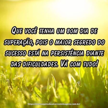 Que você tenha um bom dia de superação, pois o maior segredo do sucesso está na persistência diante das dificuldades. Vá com tudo!