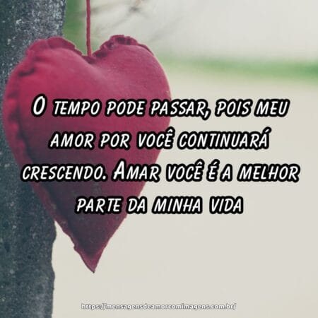 O tempo pode passar, pois meu amor por você continuará crescendo. Amar você é a melhor parte da minha vida.