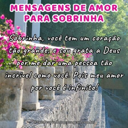 Sobrinha, você tem um coração tão grande, e sou grata a Deus por me dar uma pessoa tão incrível como você. Pois meu amor por você é infinito!