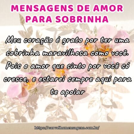 Meu coração é grato por ter uma sobrinha maravilhosa como você. Pois o amor que sinto por você só cresce, e estarei sempre aqui para te apoiar.