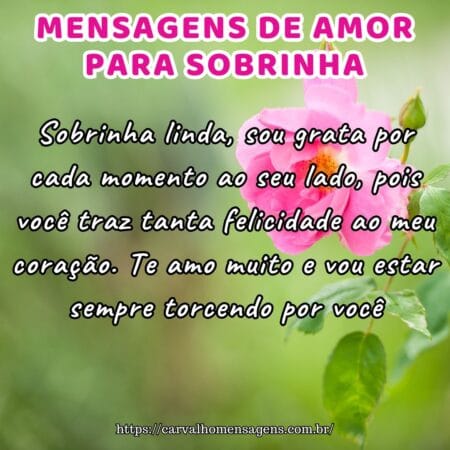 Sobrinha linda, sou grata por cada momento ao seu lado, pois você traz tanta felicidade ao meu coração. Te amo muito e vou estar sempre torcendo por você.